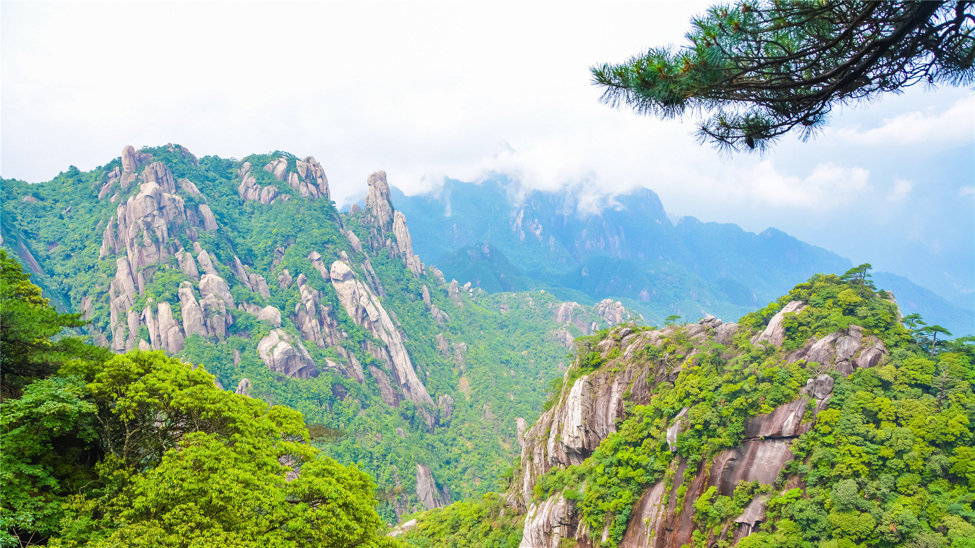 网红商城